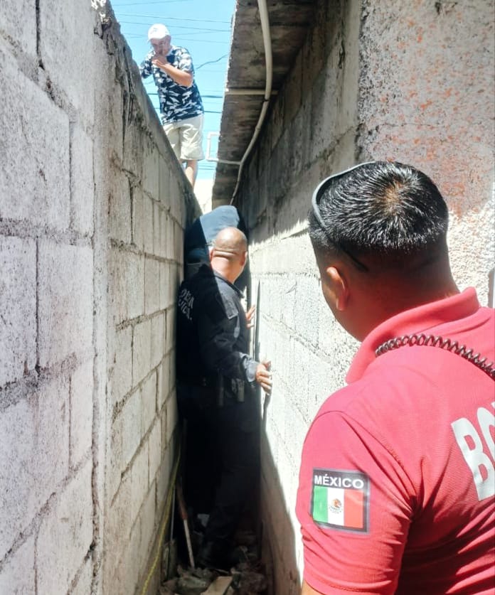 Autoridades de Frontera rescatan a caballo en la colonia Guadalupe Borja Autoridades de Frontera rescatan a caballo en la colonia Guadalupe Borja