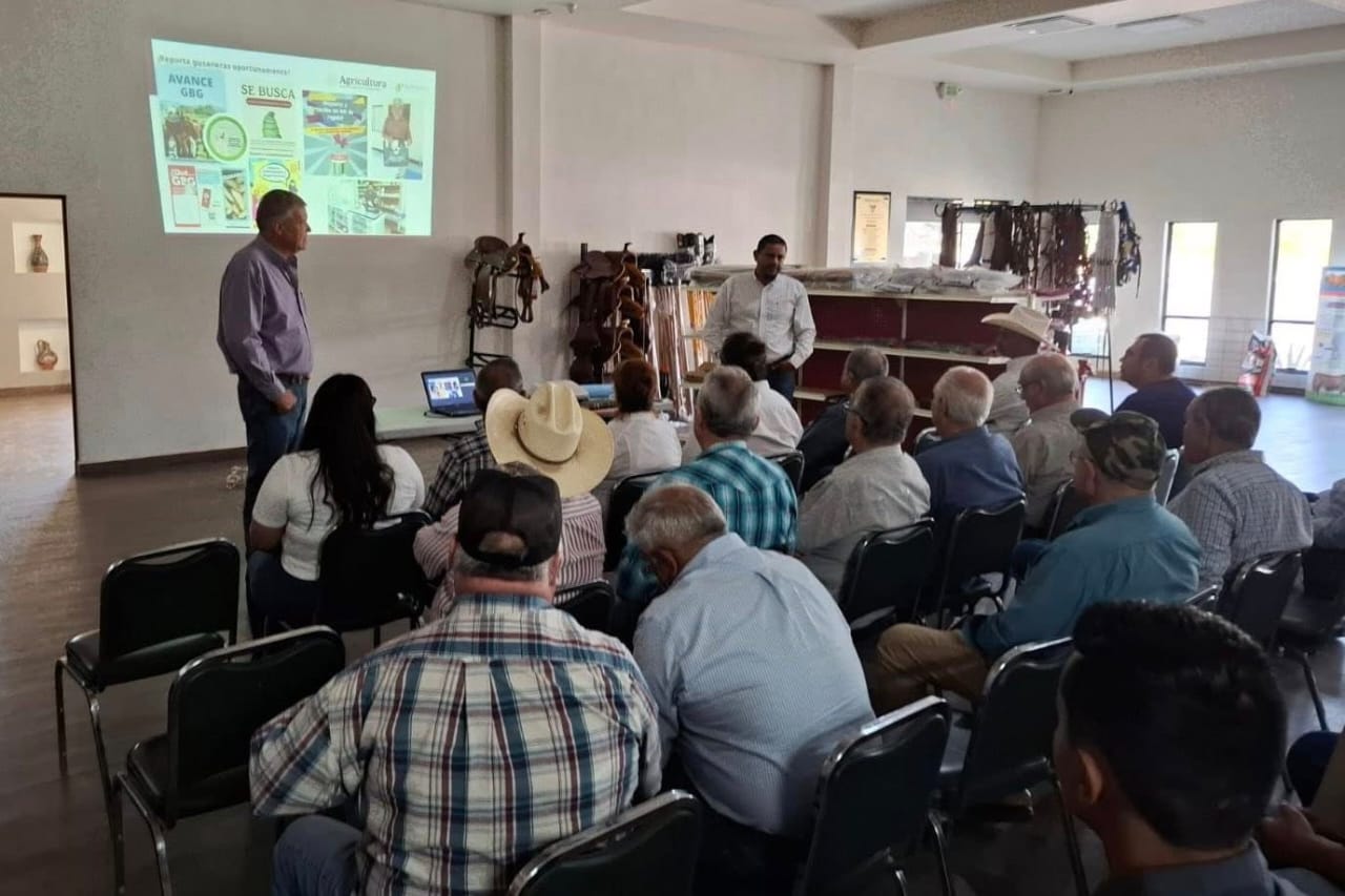 Refuerza Tamaulipas acciones de sanidad animal ante declaratoria de zona libre del gusano barrenador Refuerza Tamaulipas acciones de sanidad animal ante declaratoria de zona libre del gusano barrenador