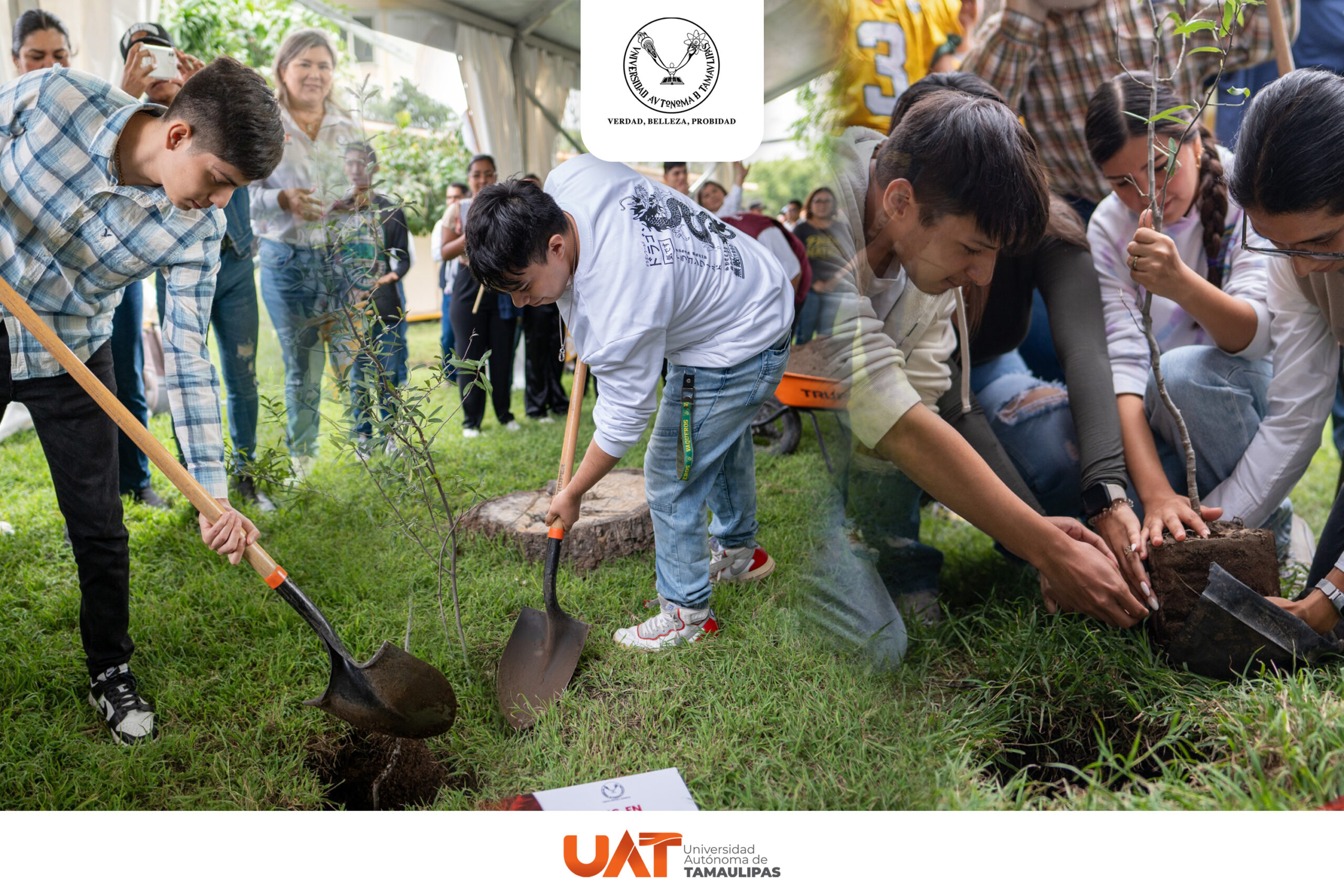 Impulsa la UAT el programa ambiental Jardines de Carrera Impulsa la UAT el programa ambiental Jardines de Carrera