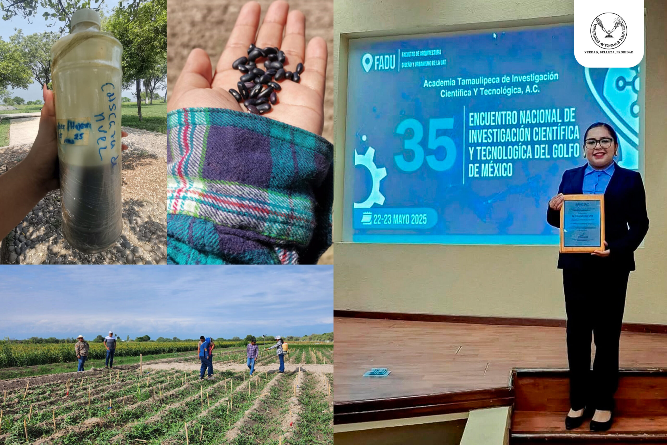 Elabora estudiante de la UAT bioherbicida para cultivos de frijol Elabora estudiante de la UAT bioherbicida para cultivos de frijol