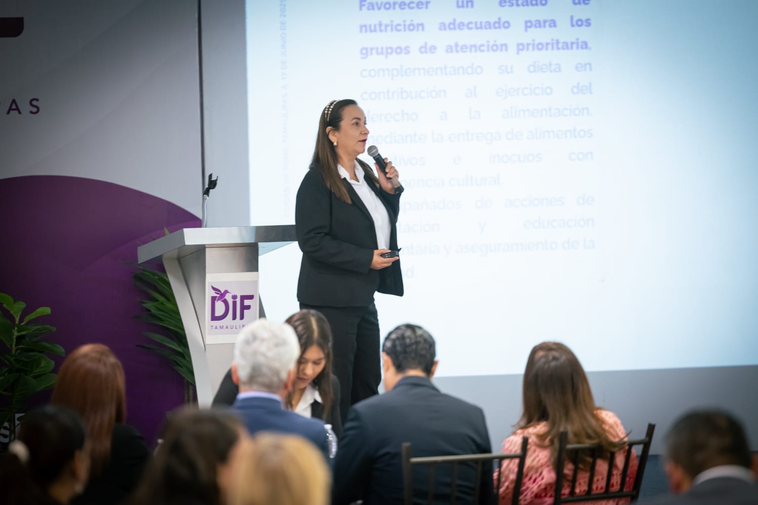 DIF Tamaulipas y Congreso del Estado fortalecen colaboración en favor de las familias más vulnerables DIF Tamaulipas y Congreso del Estado fortalecen colaboración en favor de las familias más vulnerables