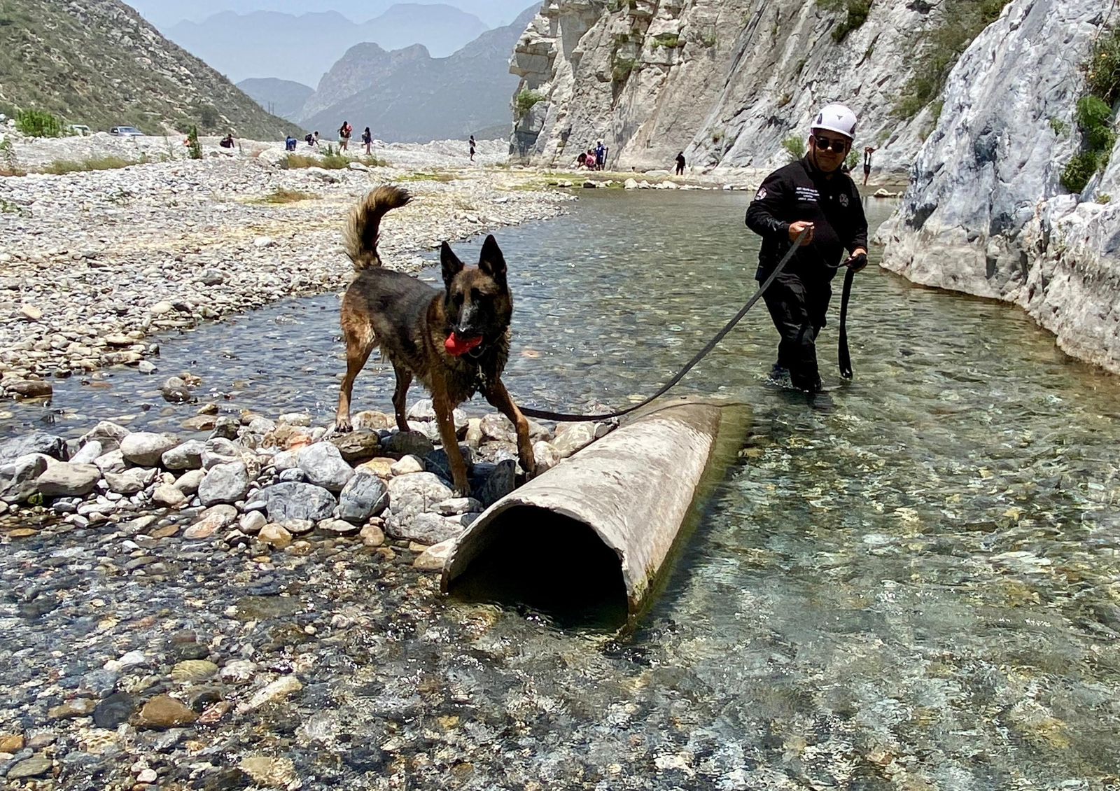 Capacitan a Grupo de Rescate K9 Jaguares de Santa Catarina Capacitan a Grupo de Rescate K9 Jaguares de Santa Catarina