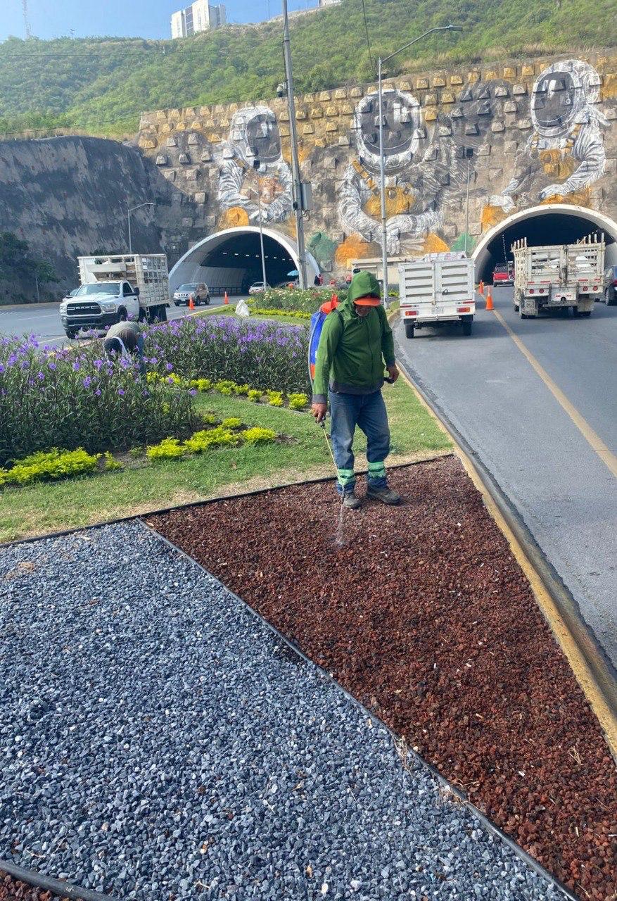 Brinda Monterrey mantenimiento a la imagen urbana Brinda Monterrey mantenimiento a la imagen urbana