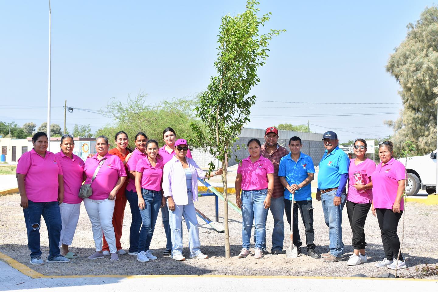 Reforesta DIF Cuatro Ciénegas plaza de la Colonia Magdalenas Reforesta DIF Cuatro Ciénegas plaza de la Colonia Magdalenas