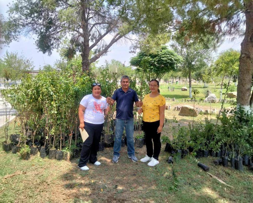Recibe Castaños donación de 200 árboles Recibe Castaños donación de 200 árboles