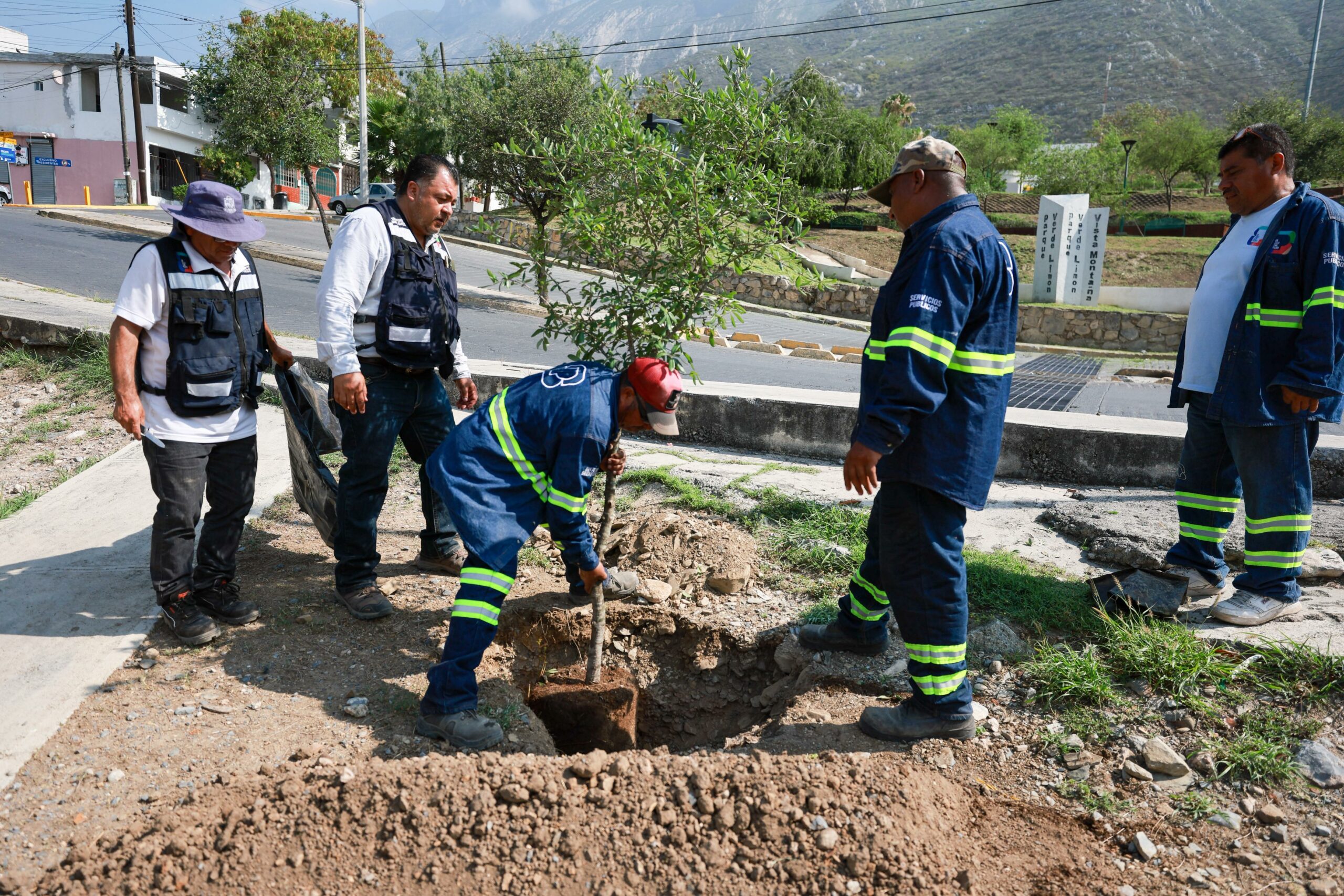 Reforesta San Pedro Parque La Retama en Vista Montaña