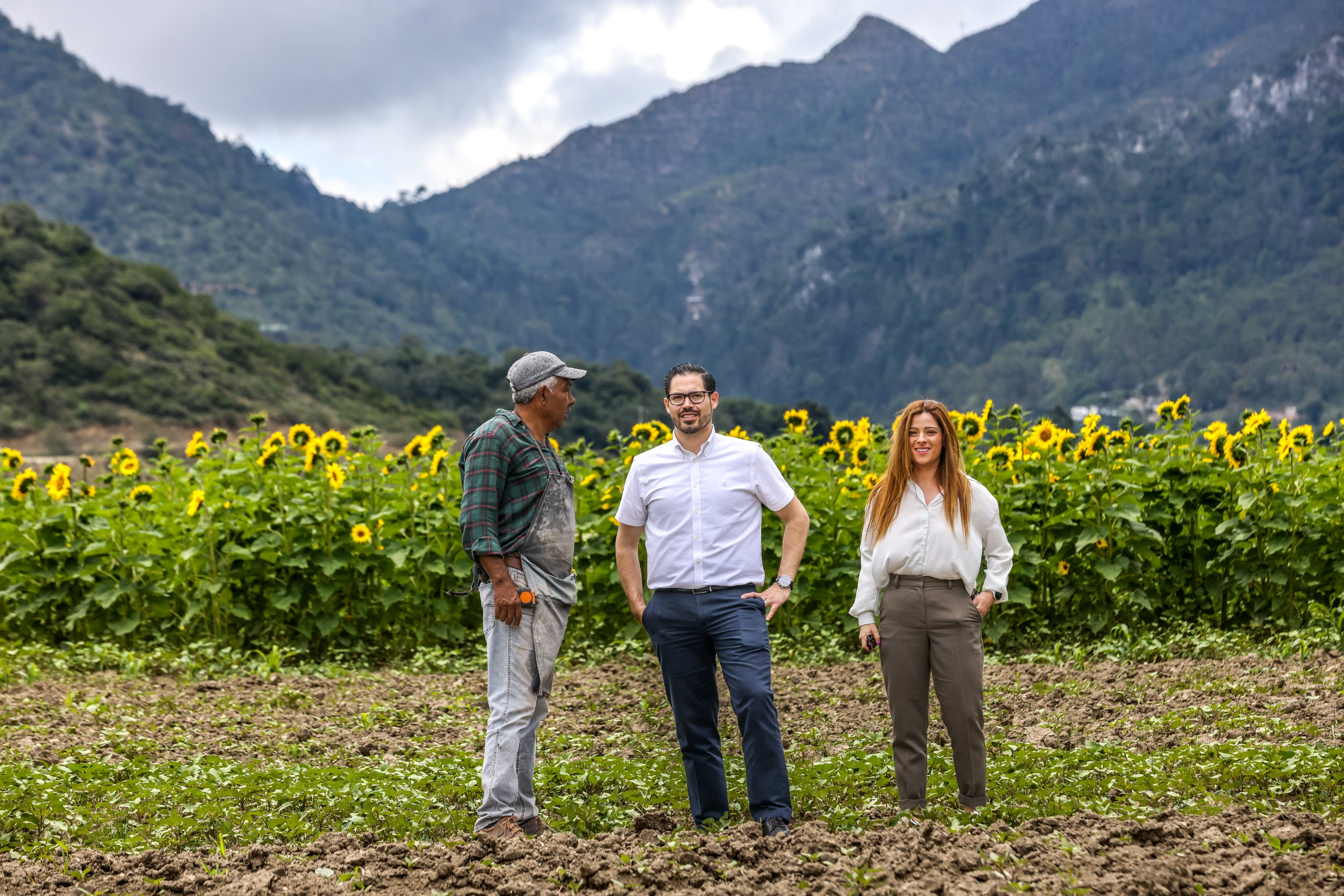 Invita David de la Peña a disfrutar la temporada de girasoles en Laguna de Sánchez Invita David de la Peña a disfrutar la temporada de girasoles en Laguna de Sánchez