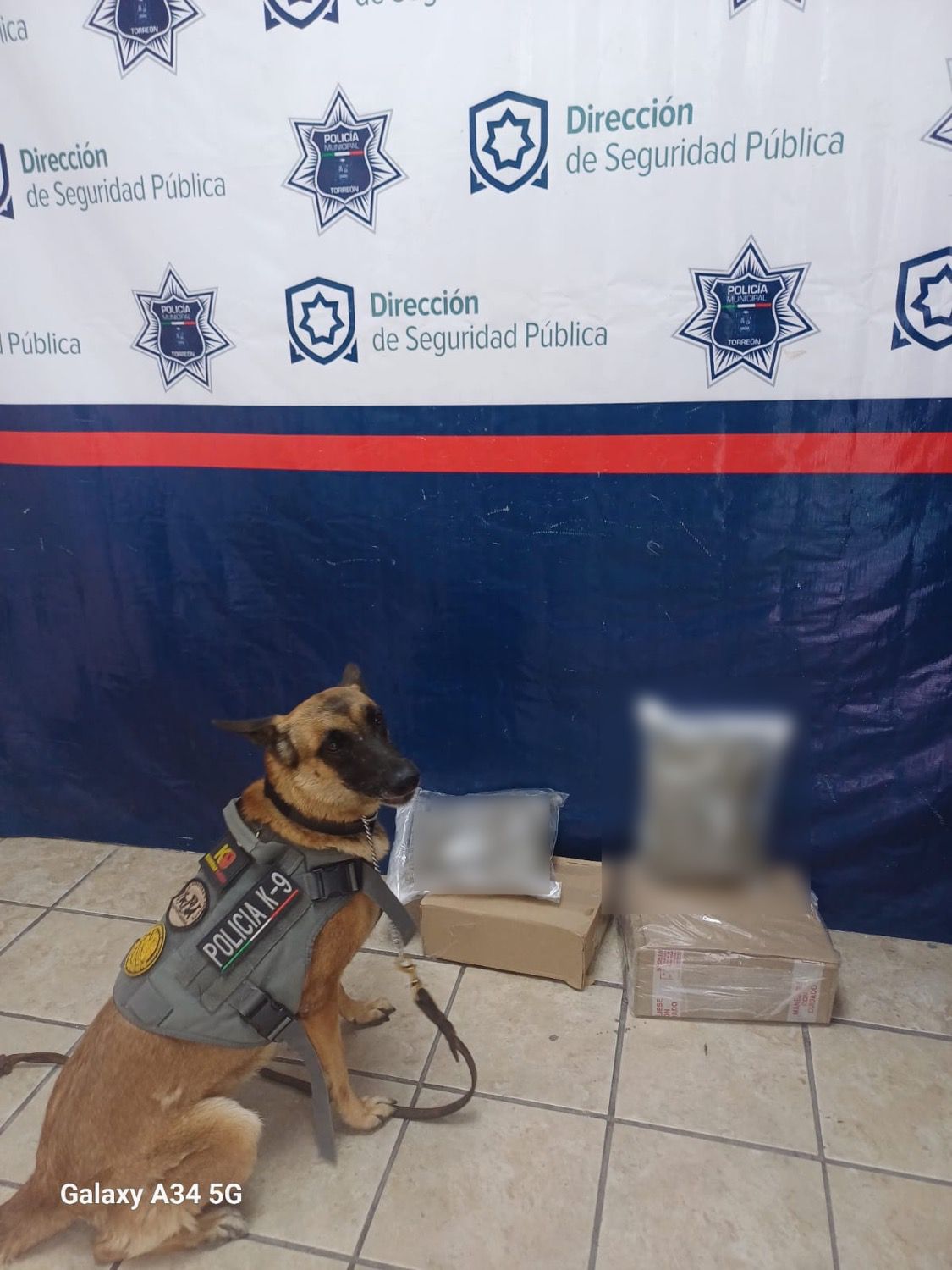 POLICÍA DE TORREÓN ASEGURA PAQUETE CON NARCOTICOS GRACIAS A LA INTERVENCIÓN DE LA UNIDAD CANINA K9 POLICÍA DE TORREÓN ASEGURA PAQUETE CON NARCOTICOS GRACIAS A LA INTERVENCIÓN DE LA UNIDAD CANINA K9