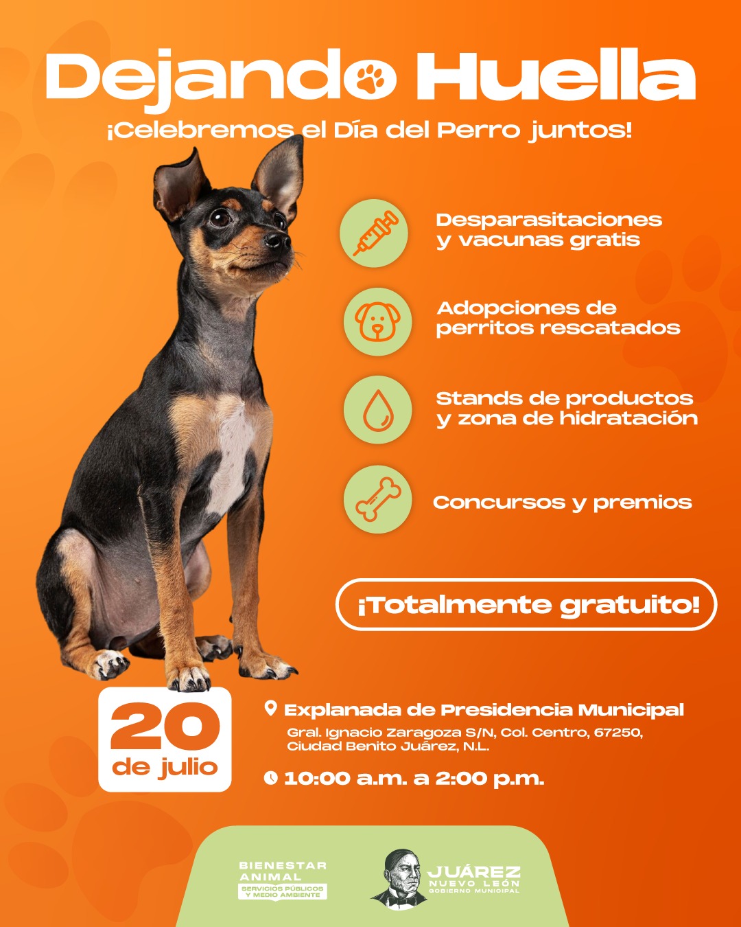 Juárez celebrará Día del Perro con jornada ‘Dejando Huella’ Juárez celebrará Día del Perro con jornada ‘Dejando Huella’