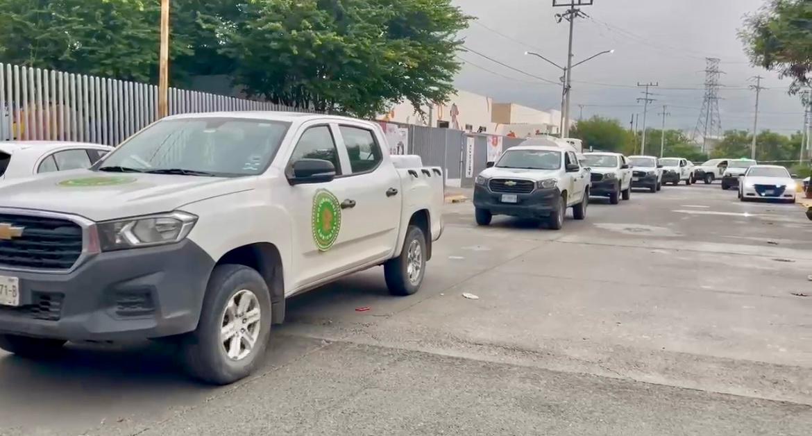 Entrega Santa Catarina a Estado 34 perros vivos y con buena salud para adopción Entrega Santa Catarina a Estado 34 perros vivos y con buena salud para adopción
