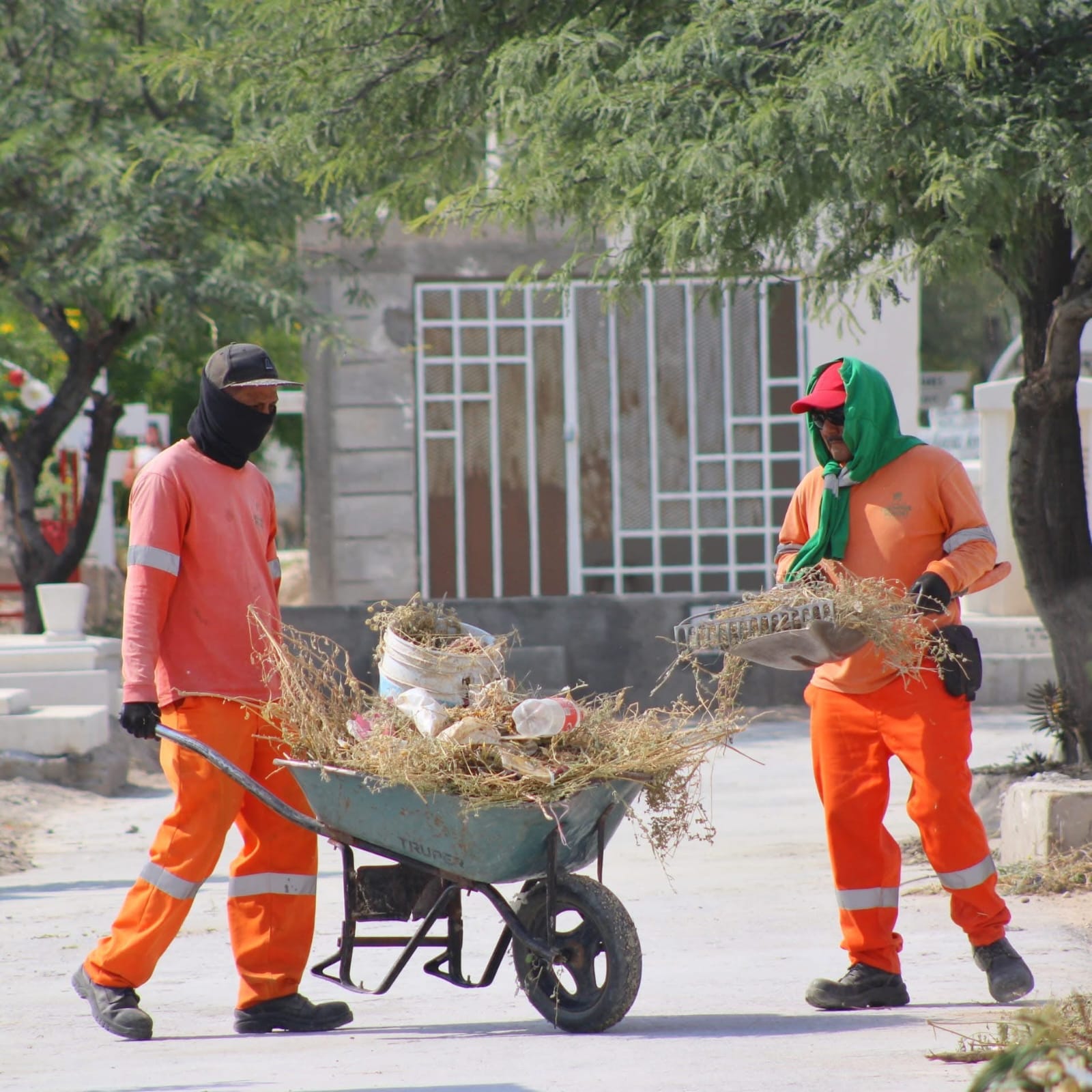 Intensifican trabajos de limpieza y mantenimiento en panteones de Torreón Intensifican trabajos de limpieza y mantenimiento en panteones de Torreón