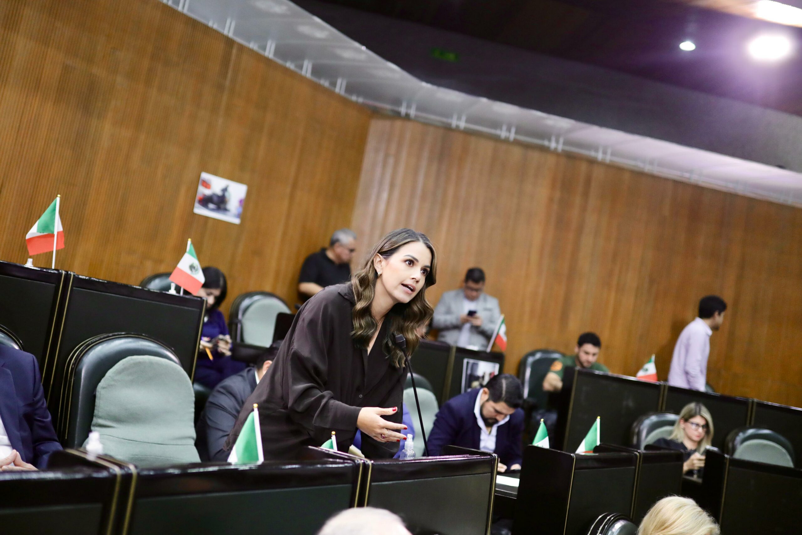 Lorena de la Garza llama a detener la persecusión contra activistas o representantes de usuarios del transporte público Lorena de la Garza llama a detener la persecusión contra activistas o representantes de usuarios del transporte público