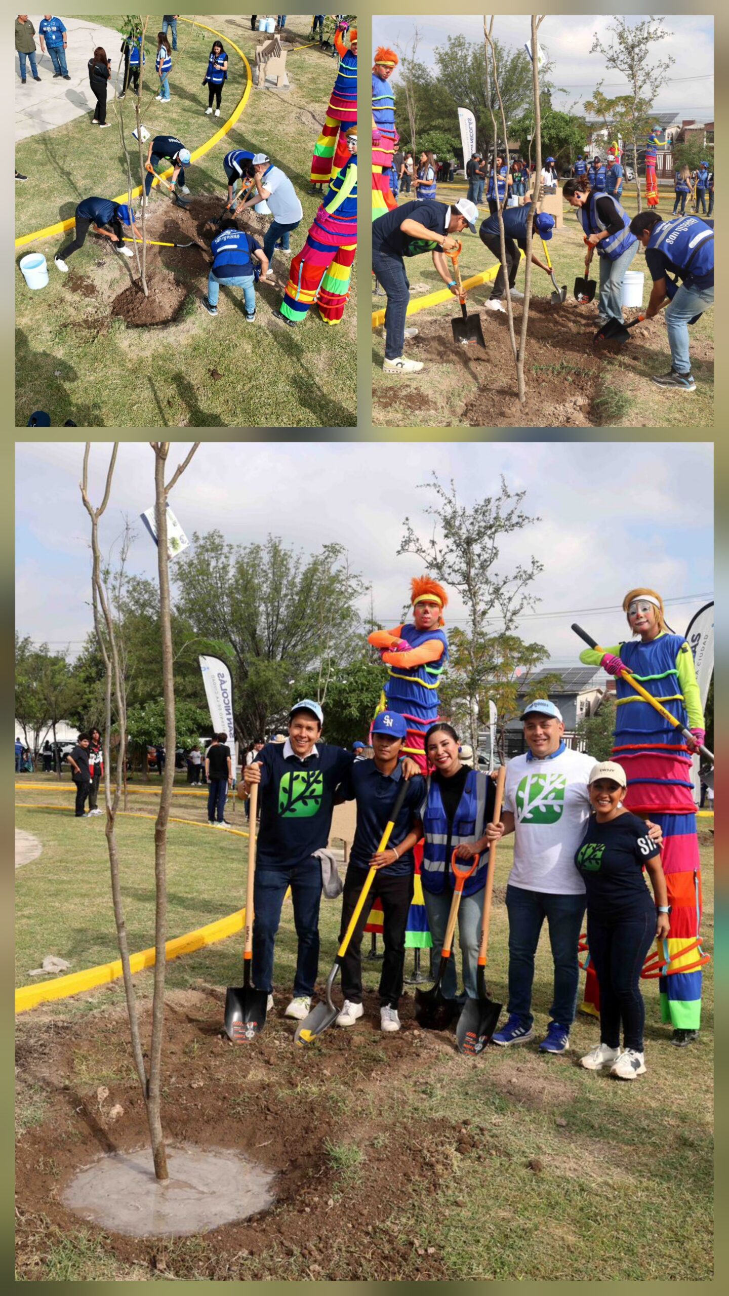 San Nicolás busca alcanzar la meta de 6 mil árboles plantados