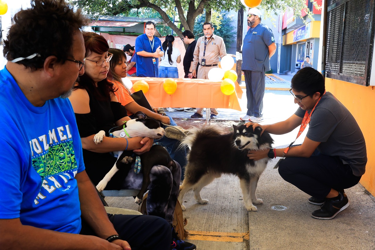 Realiza Guadalupe 17 mil servicios veterinarios en primer año de gobierno