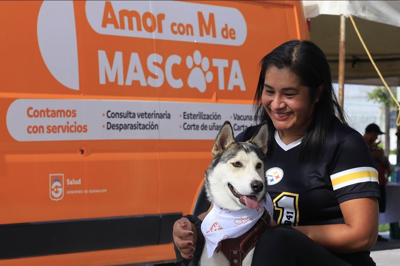 Tendrá Guadalupe nuevo reglamento para la protección de animales Tendrá Guadalupe nuevo reglamento para la protección de animales