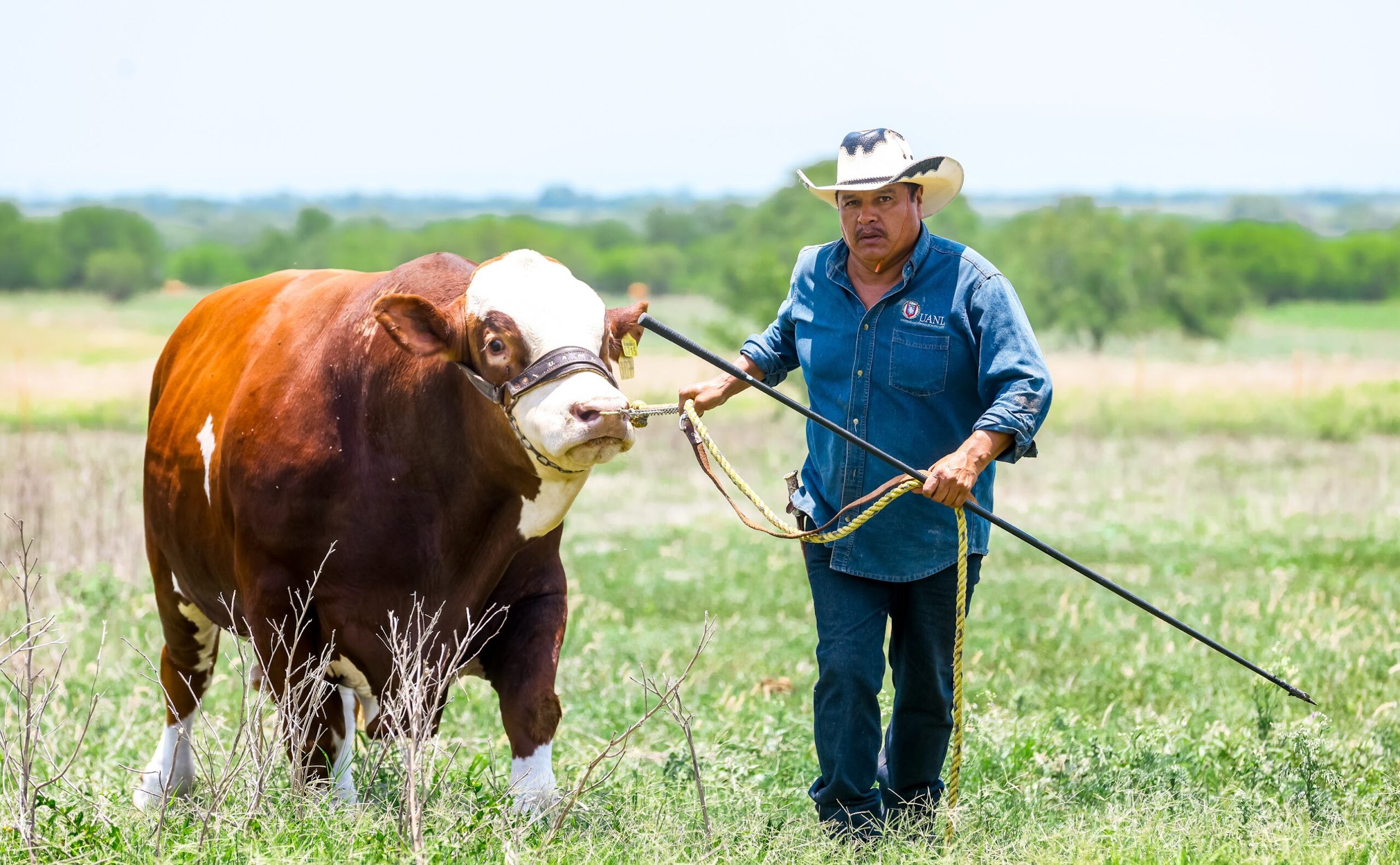 Creará UANL en Linares Centro de Desarrollo de Nutrición Animal Creará UANL en Linares Centro de Desarrollo de Nutrición Animal
