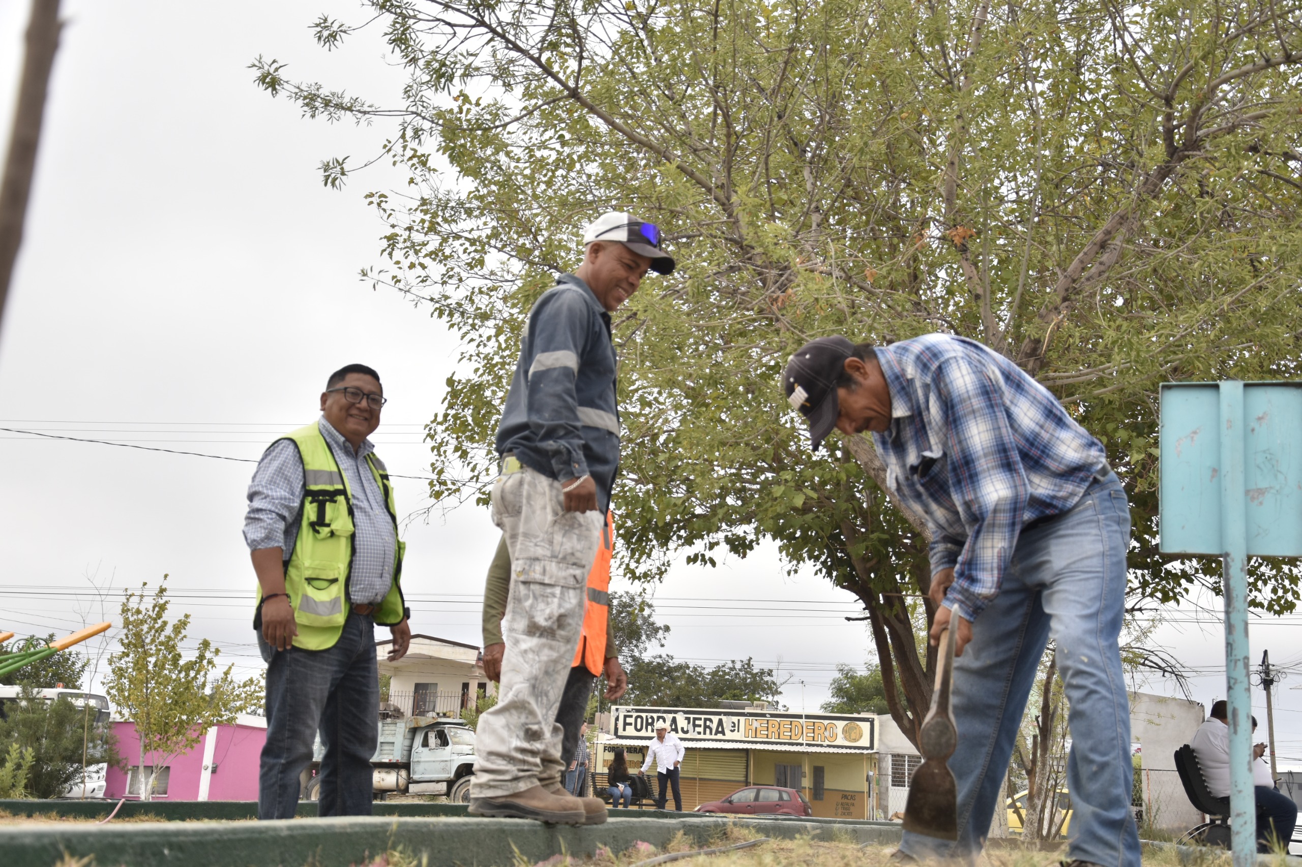 Supervisa Sari Pérez instalación de sistema de riego en la Plaza de la Colonia Borja