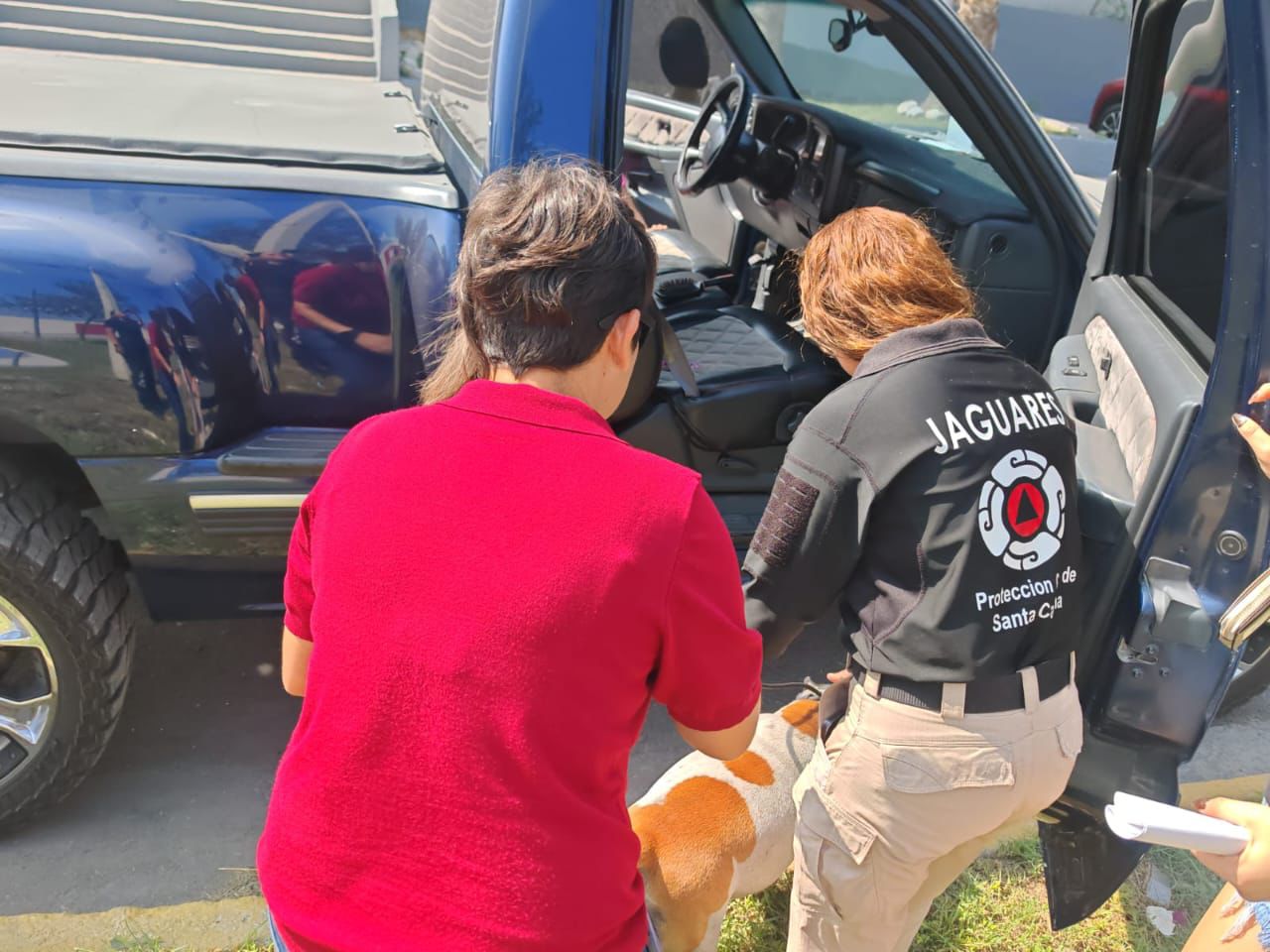 Jaguares rescata y entrega perra extraviada durante incendio en Colonia Zimix Jaguares rescata y entrega perra extraviada durante incendio en Colonia Zimix