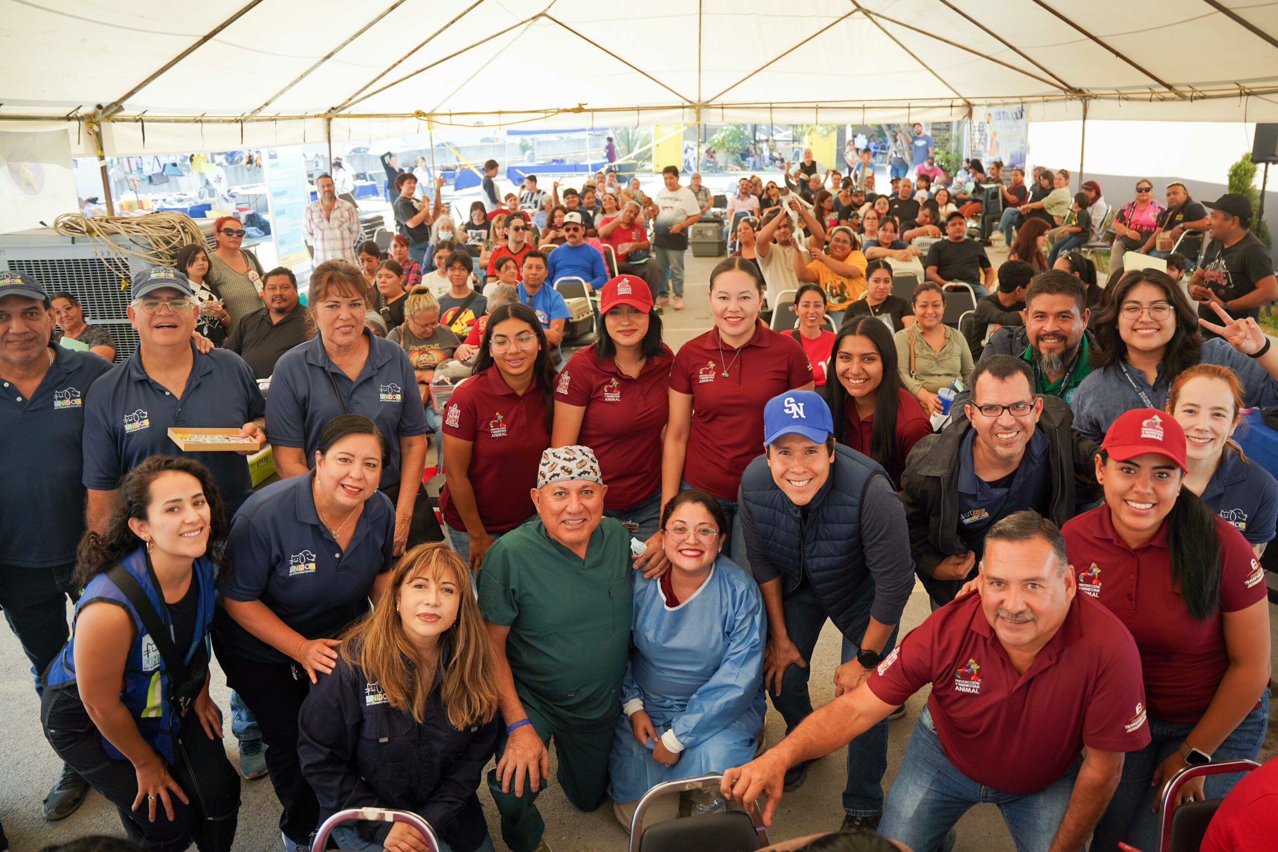 Brinda San Nicolás brigada de salud canina y felina