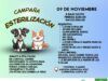Anuncian campaña de esterilización para perros y gatos este domingo