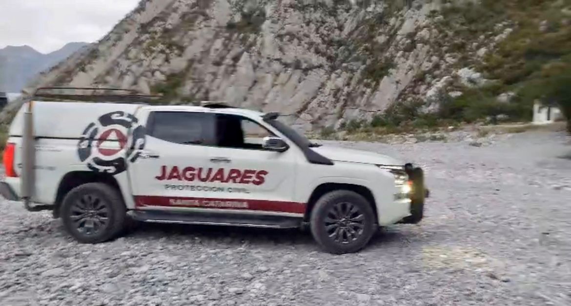 Previene Jaguares a paseantes por avistamiento de osos en La Huasteca
