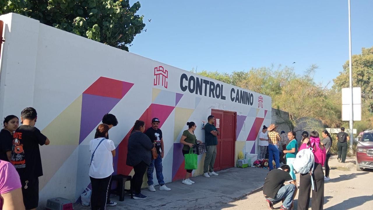 Invitan a jornada de adopción animal y serviciosgratuitos este domingo en Control Canino