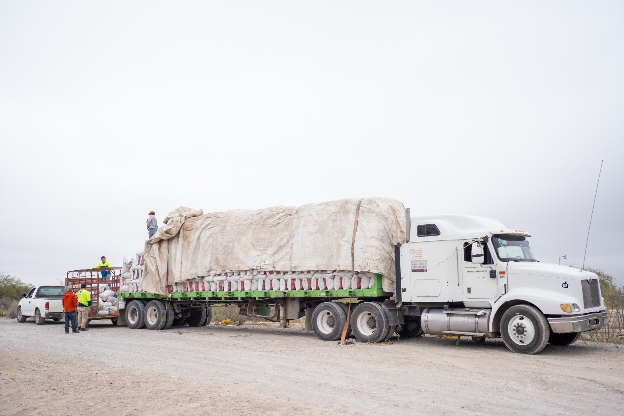 Fortalece Yesica Sifuentes al sector rural con entrega de pollinaza