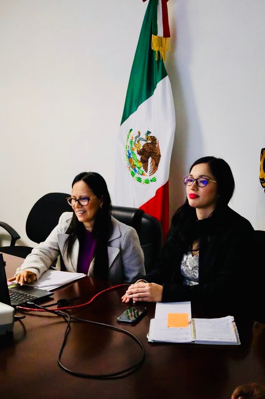 Participa Tamaulipas en sesión nacional para homologar la información pública y fortalecer la transparencia