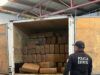 Asegura Policía de Coahuila 676 KG de marihuana