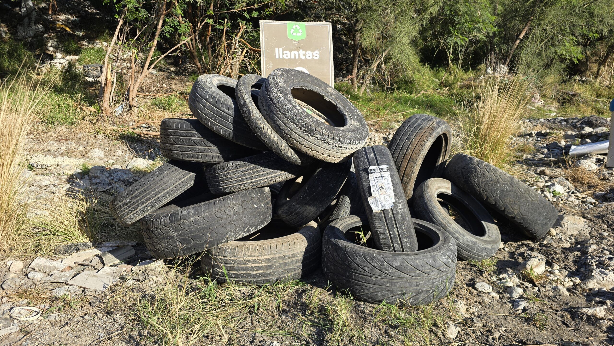 Inicia Participación Ciudadana 2026 con limpieza del Río Santa Catarina