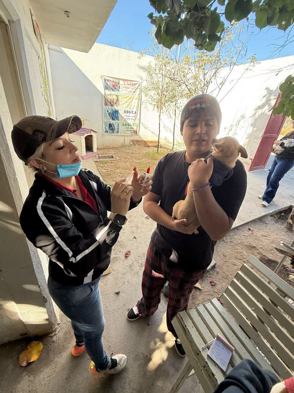 Salud Municipal impulsa la tenencia responsable de mascotas y la prevención de enfermedades zoonóticas