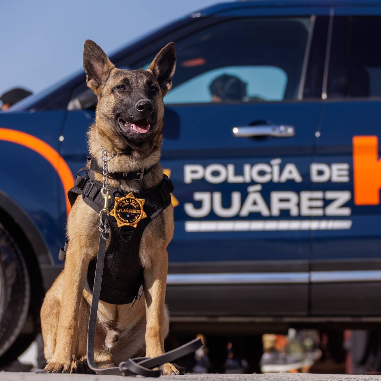 Presenta Félix Arratia la nueva Unidad K9: caninos al servicio de los juarenses