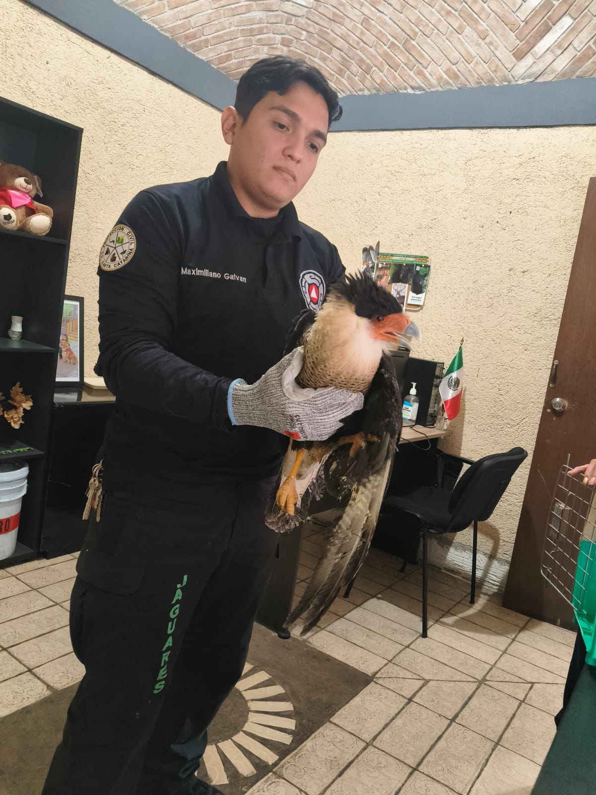 Rescata PC de Santa Catarina Grupo Jaguares a ave