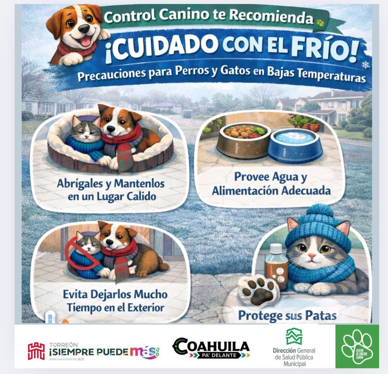 Salud Pública Municipal emite recomendaciones para proteger a las mascotas ante bajas temperaturas