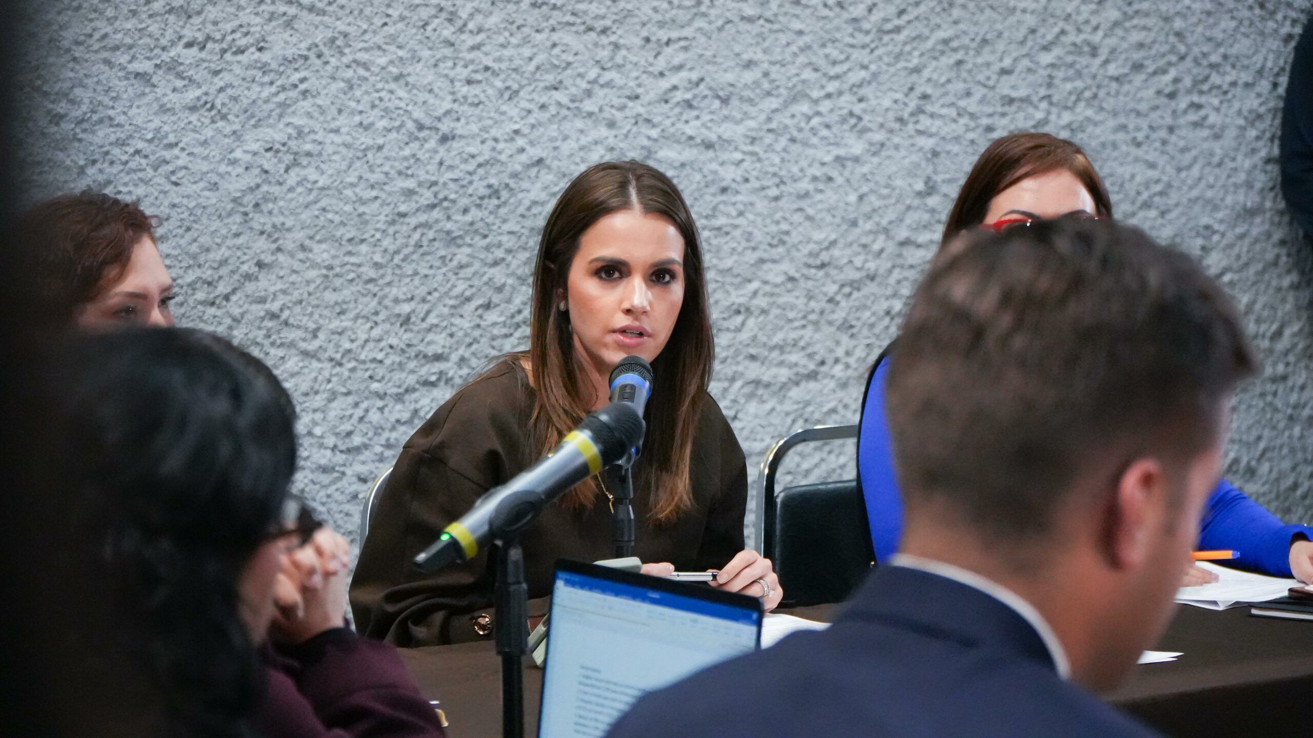 La Comisión de Presupuesto avanza en el Presupuesto 2026: Lorena de la Garza